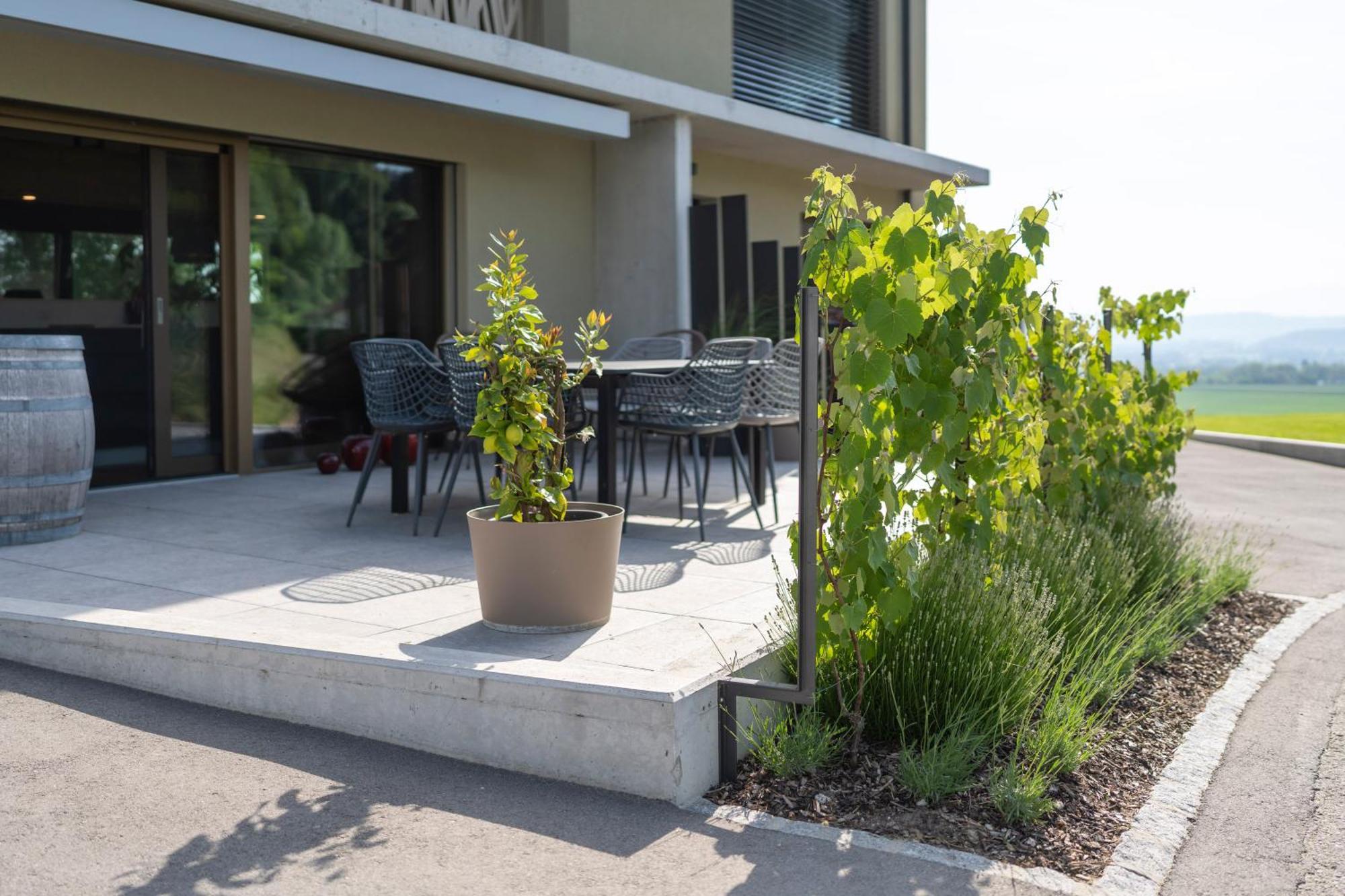 Le Rive Sud Estavayer-le-lac Exterior foto